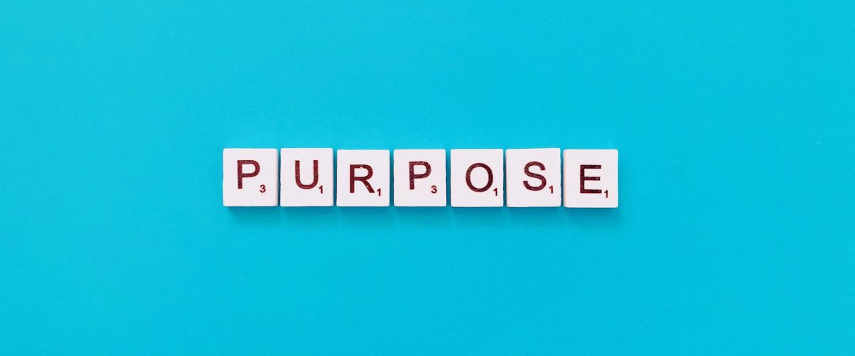 purpose-2022-11-12-01-11-17-utc