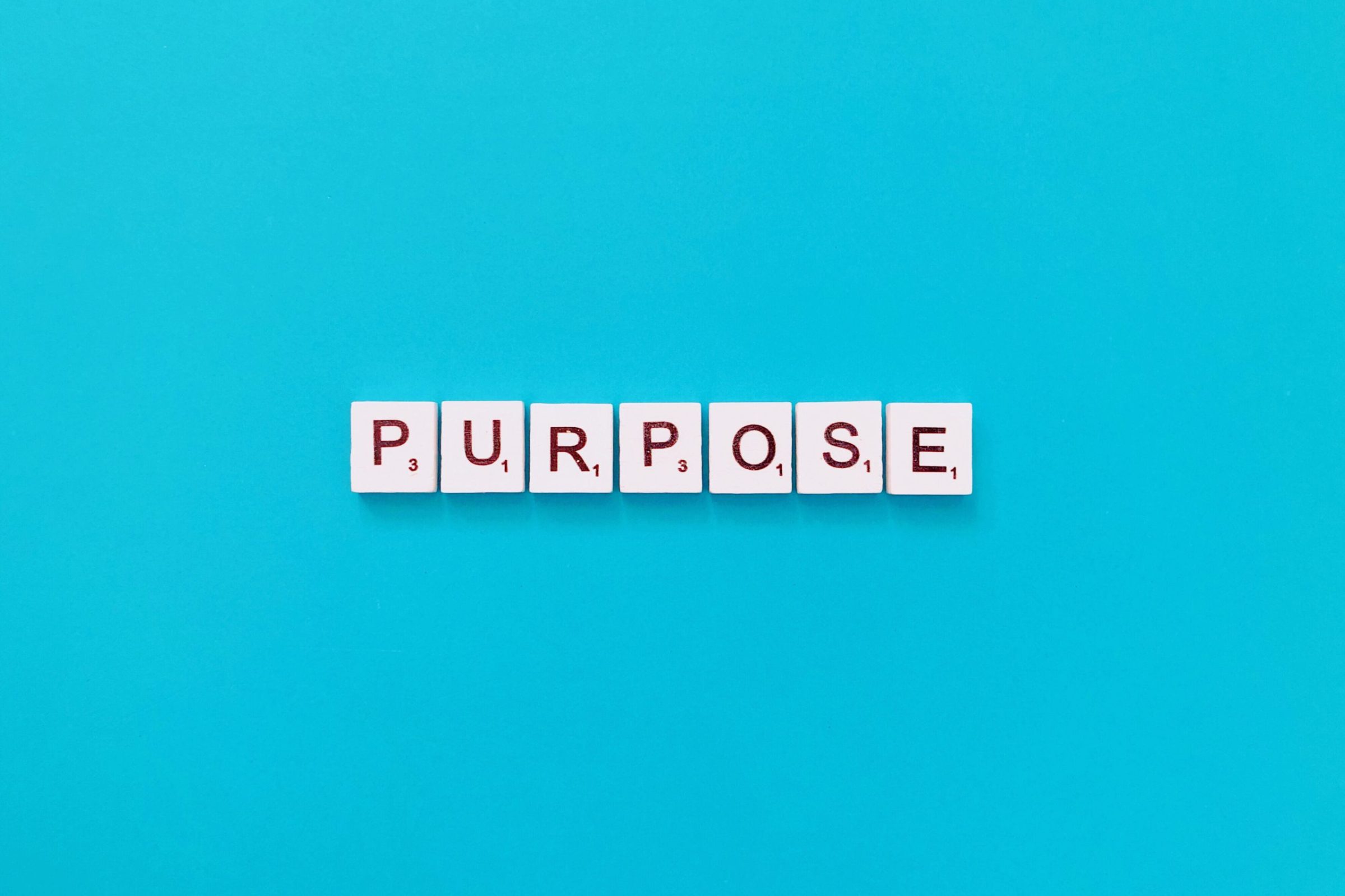 purpose-2022-11-12-01-11-17-utc