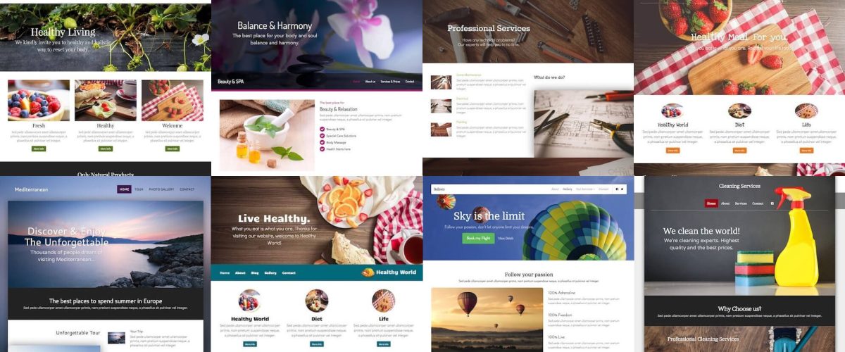 small-business-website-options